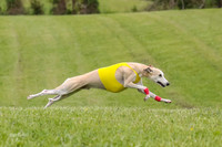 Prelim Veteran 1, Akela Ricky Bobby Blue-6257