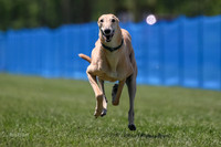 AE4I9556