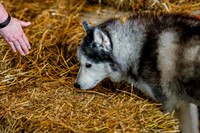_F4I8270