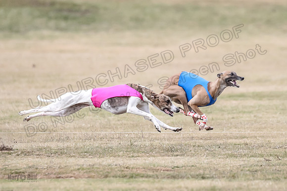 1Prelim Open 3 Eggsy Trixie Treble-3048