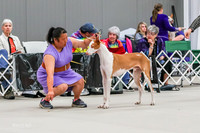 AE4I4854