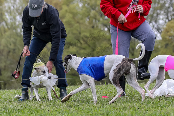 Finals Open D4, Roo Shroom Torque-0944