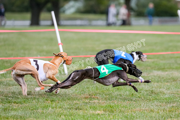 Prg 1, Race 16, Carl Maybe Bookie Sealli-0991