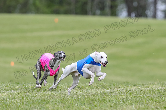 Finals Open C4, Ripley Prim Synner-0758