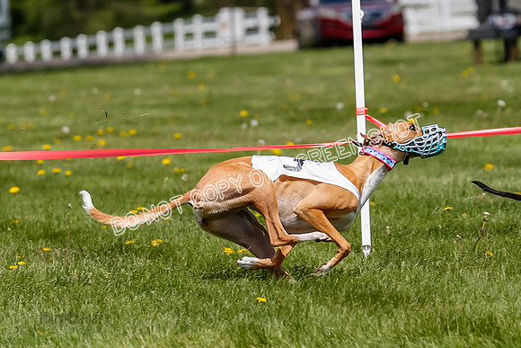 NOTRA Program 3, Race 4, Maybe Power Flora Clyps-2-8