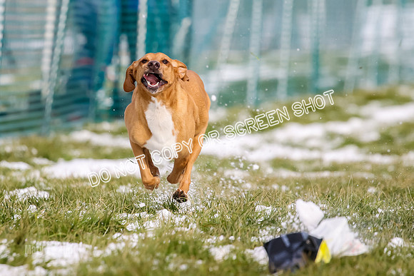 MCH72153