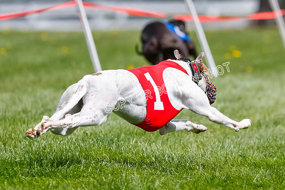 NOTRA Program 2, Race 6, Cinder Stormy Gibbs Shakespeare-2-14