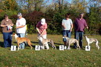 CWA Oct 11 08 097-M