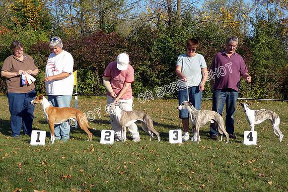 CWA Oct 11 08 097-M