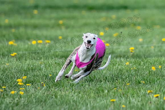 1 Prelim FCh B2 Echo Lzzy Indy-6747