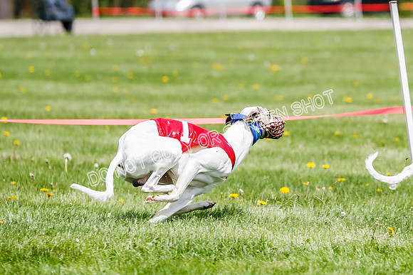 NOTRA Program 3, Race 3, Eddie Elvis Picanha Coyote-2-35