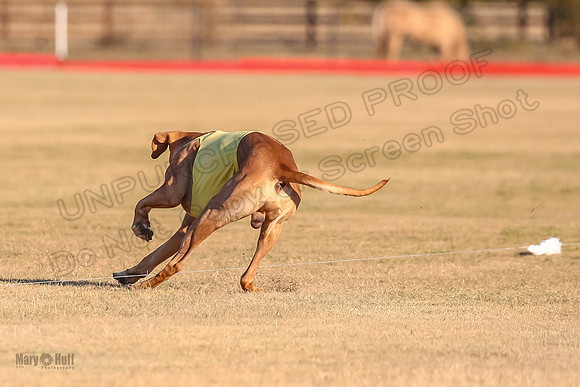 1Prelims Spec 1 Ash Zoey Zanna-9649