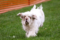 MCH70432