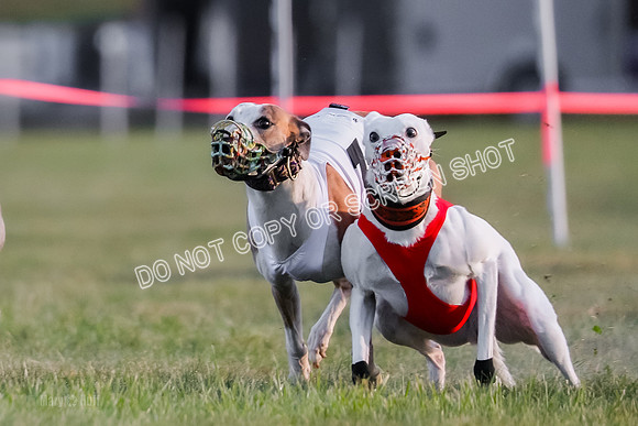 Prg 1, Race 9, Barley Press Sansa Carney Elia Clyps-9116