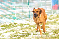 MCH72100