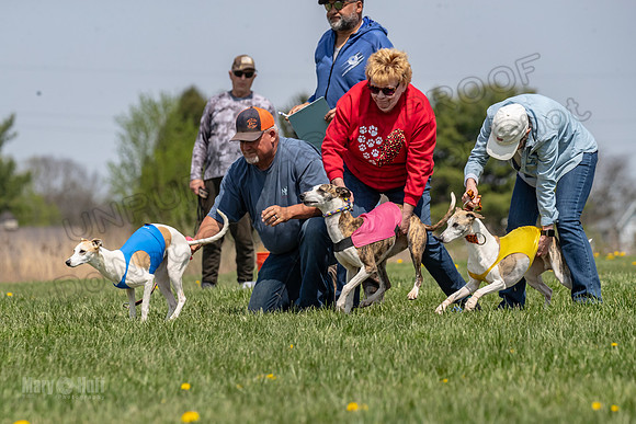 Finals Specials A4 Mica Carnie Marlee-4336
