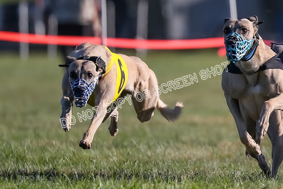 Prg 1, Race 18, Hillary Axl Chase Joplin Rum-9277