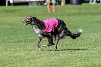 Prelim, Vera-Rainbow-3541