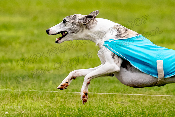Prelims Misty-0642