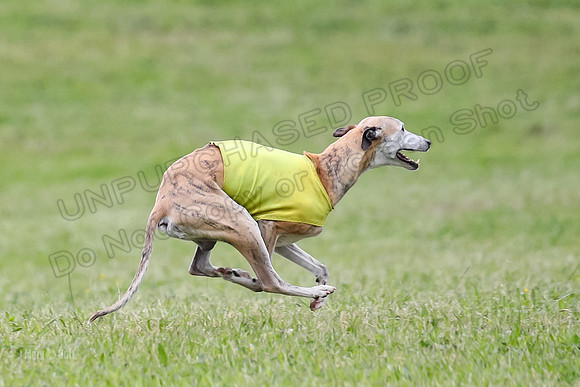 Prelim Veterans 7, RickyBobbie Parker-0295