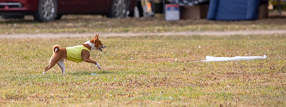 Finals Fch Sizzle-2973