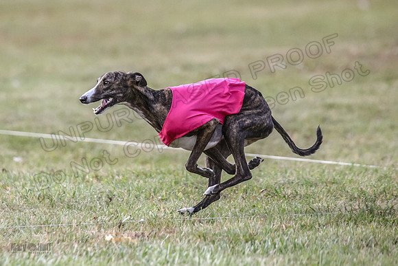 Finals Lena-3728