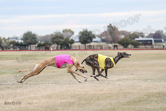 1Prelim Spec 1 Terra Bonnie-2592