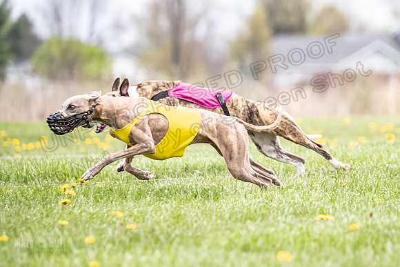 Finals Fch A4 Finely Carrie-9299