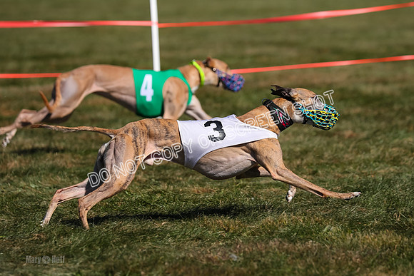 Prg 3, Race 11, Jamie Thunder Dusty Rarity-2240