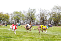 WRA, Prg 4, Race 1, Dash, Elvis Mika Buzzsaw Moonstruck-9280