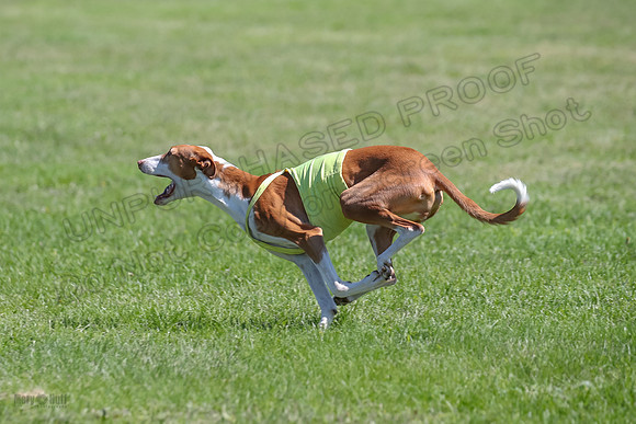 Finals Fch 2 Beastie Ginny-8307