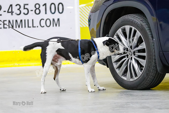 L3 Vehicle-7132