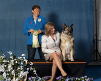 Elkhound 2020-1160