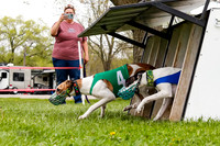 WRA, Prg 3, Race 1, Puppy, Sprig Gnocchi-9111