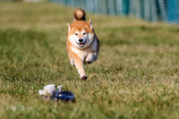 MCH74227