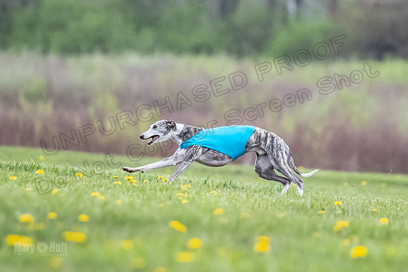 Finals Fch A1 Whisper Treble JesseJames-9079