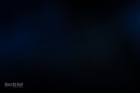 AE4I6330