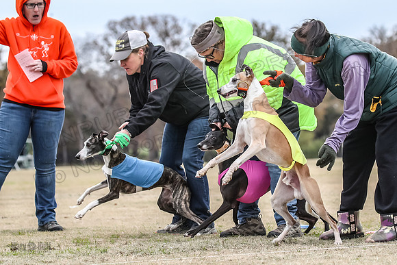 Finals Open 3 Scorch Shine Kashi-4009