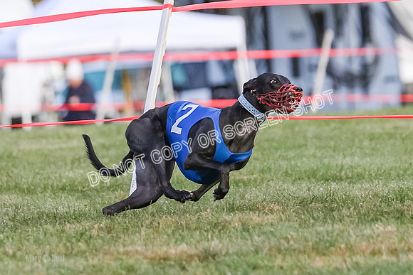 Prg 1, race 4, Rarity Hillary Barley Clyps-0643
