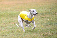 1 Prelims Open 1 AnnieOakley Fennec Zero-1223
