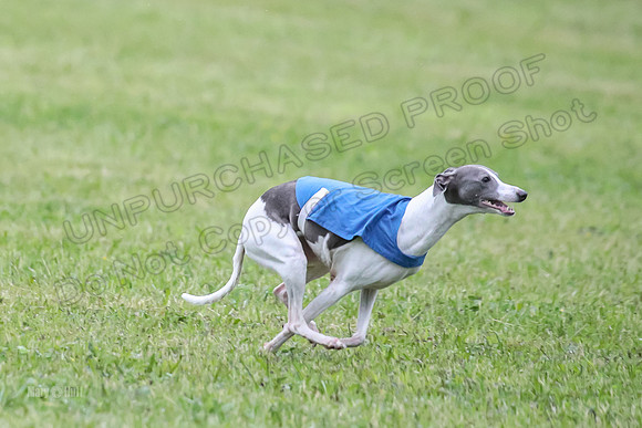 Prelim Open B1, Prudence Rosa Zelda-8390