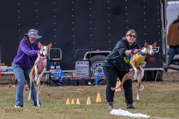 Finals Vet Izzy Thea-3267