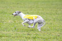 Prelim Specials A1, Booster Leo KinkyBoots-9596