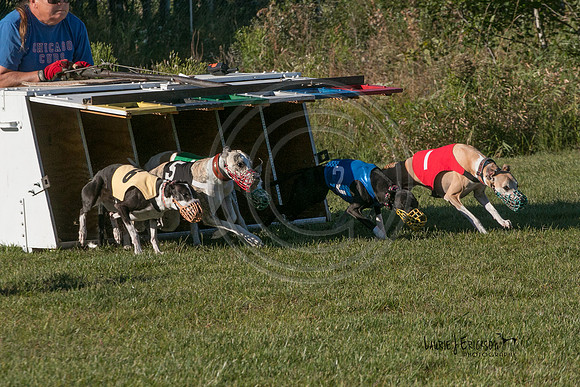 LJE-0559