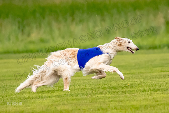 Open Prelim Bluegene Rhett Zen-0486