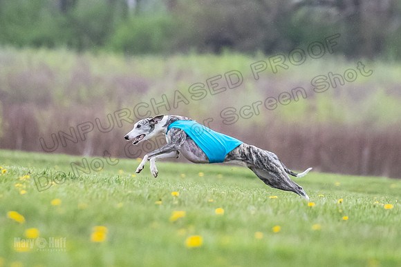 Finals Fch A1 Whisper Treble JesseJames-9078