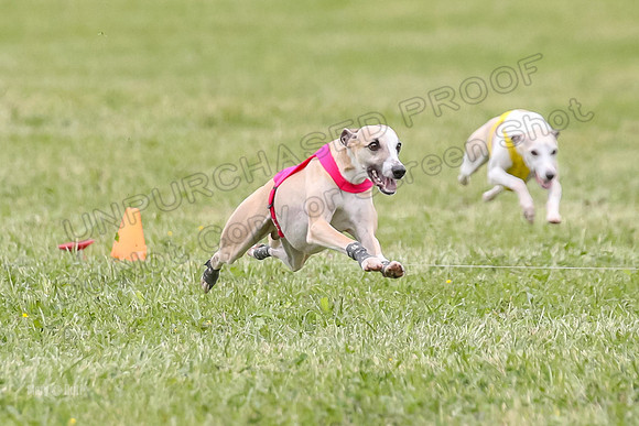 Finals Open C5, Mizuno Charlie Arlo-0789