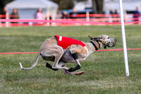 Prg 1, race 1, Arrow Blitz Rosie Floyd-0571