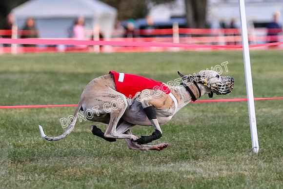 Prg 1, race 1, Arrow Blitz Rosie Floyd-0571
