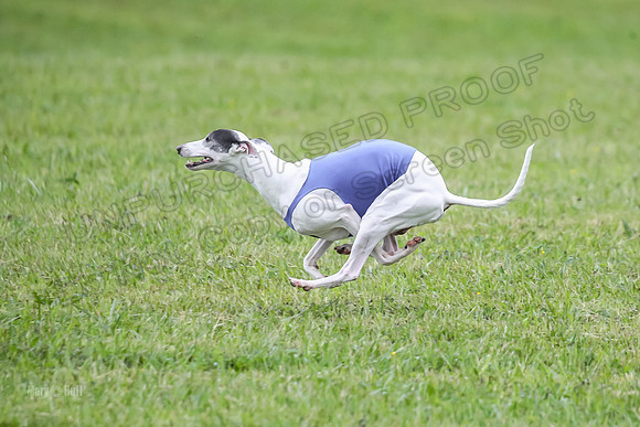 Prelim Open E2, Devo Wyatt Shadow-9065